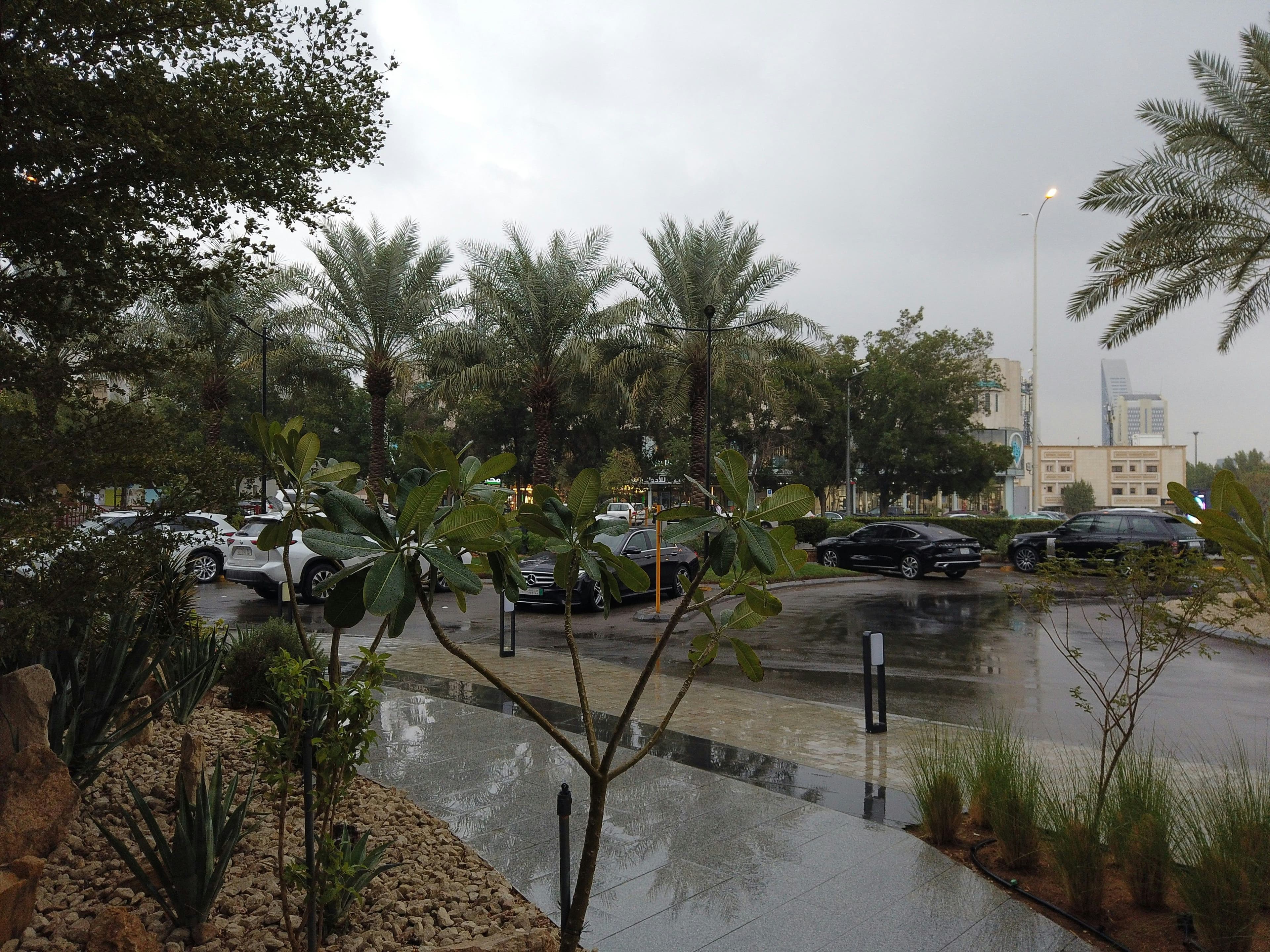 Riyadh - photo 8